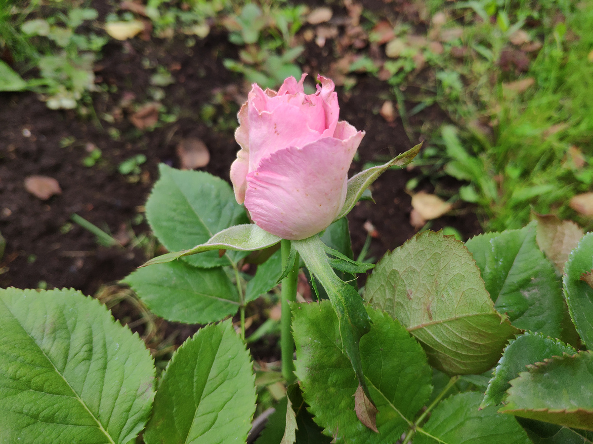 Фото автора канала.