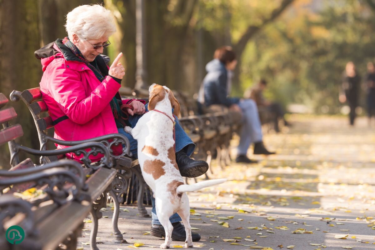 Пожилая женщина на прогулке с собакой 