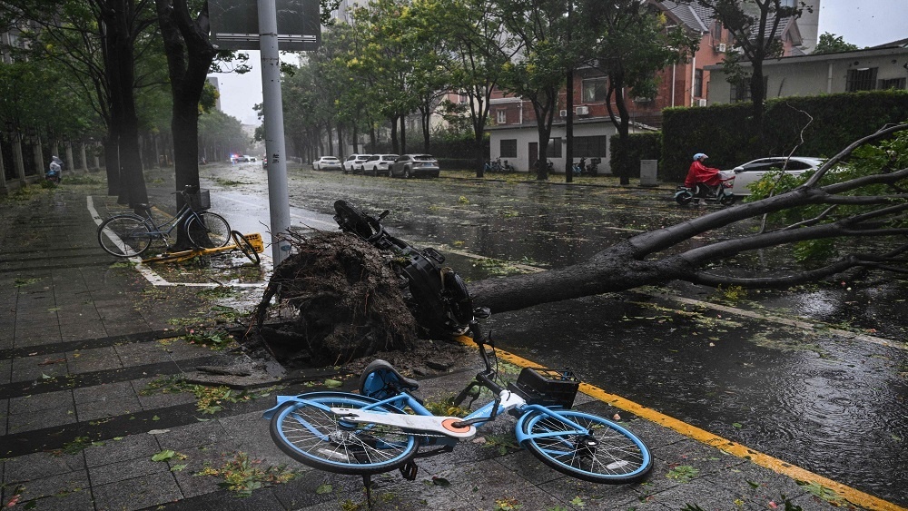     Фото: HECTOR RETAMAL/AFP/East News