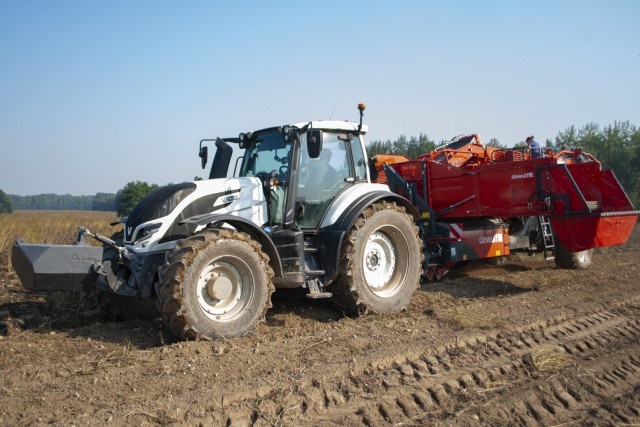   Фото из архива Калининград.Ru