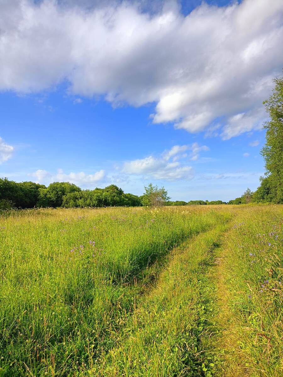 Вот такая на нашем острове идиллия: две недели ни капли дождя!