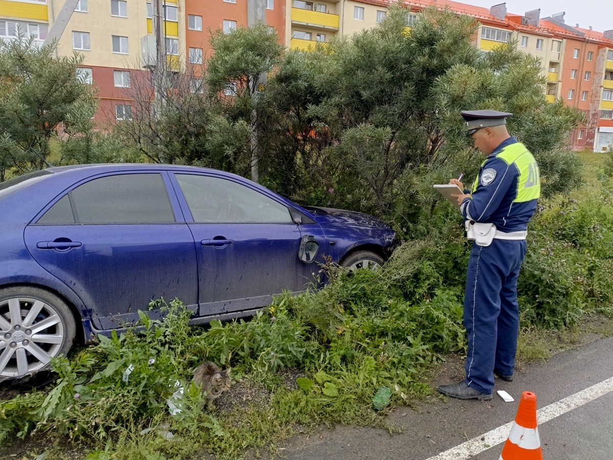 Фото: Госавтоинспекция Свердловской области  📷
