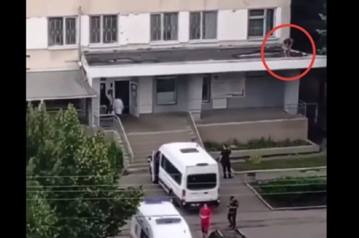    Украинец пытался сбежать от ТЦК, выпрыгнув из окна детской поликлиники