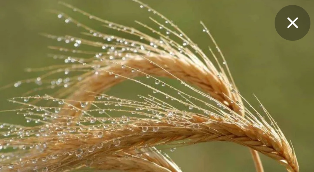 Фото из открытого интернета 