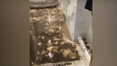     В селе Зыково сильный ливень превратил дом пенсионерки в бассейн