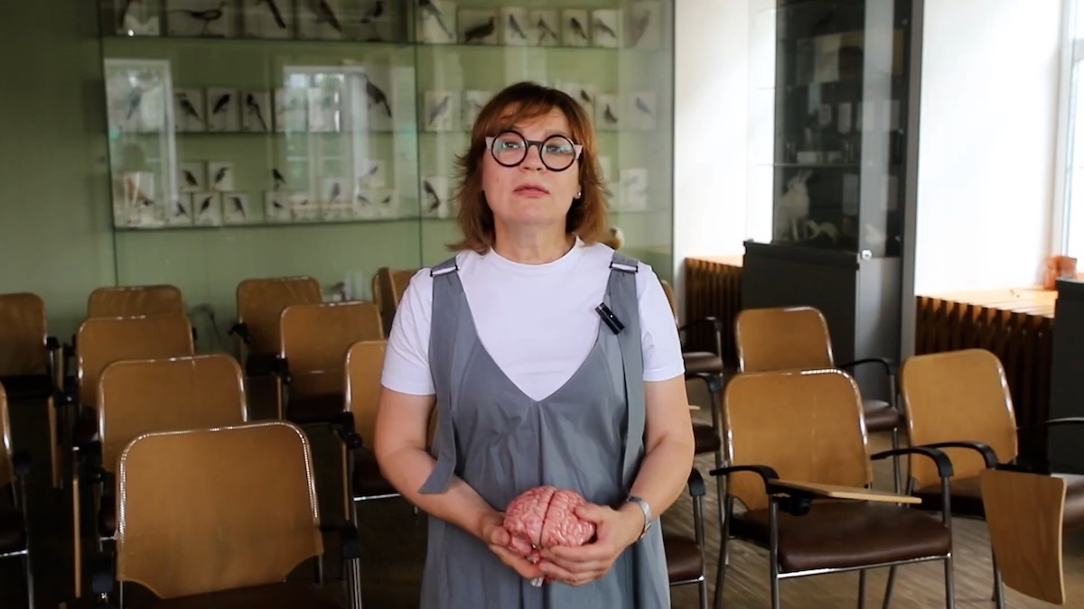    Мозг девочек развивается быстрее, чем у мальчиков