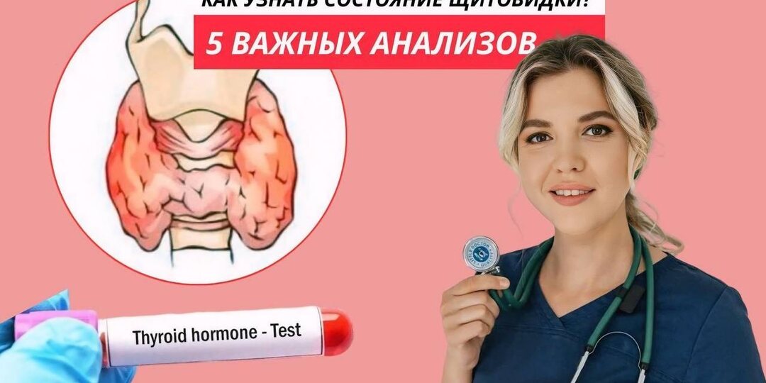 Как щитовидка влияет на вашу энергию? 5 анализов, которые помогут разобраться