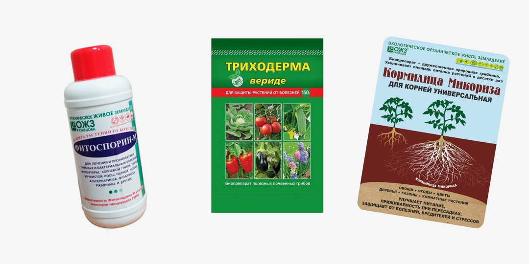 Фитоспорин, триходерма и микориза: как правильно использовать и не навредить растениям