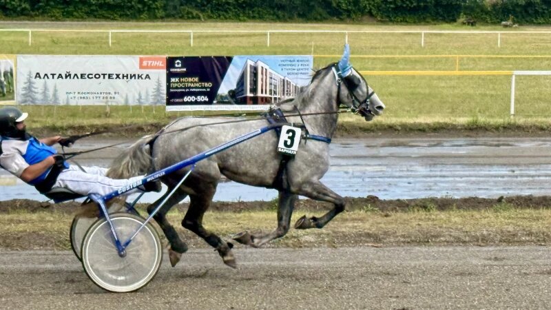     Конноспортивные соревнования «Большие бега» Федор Позников