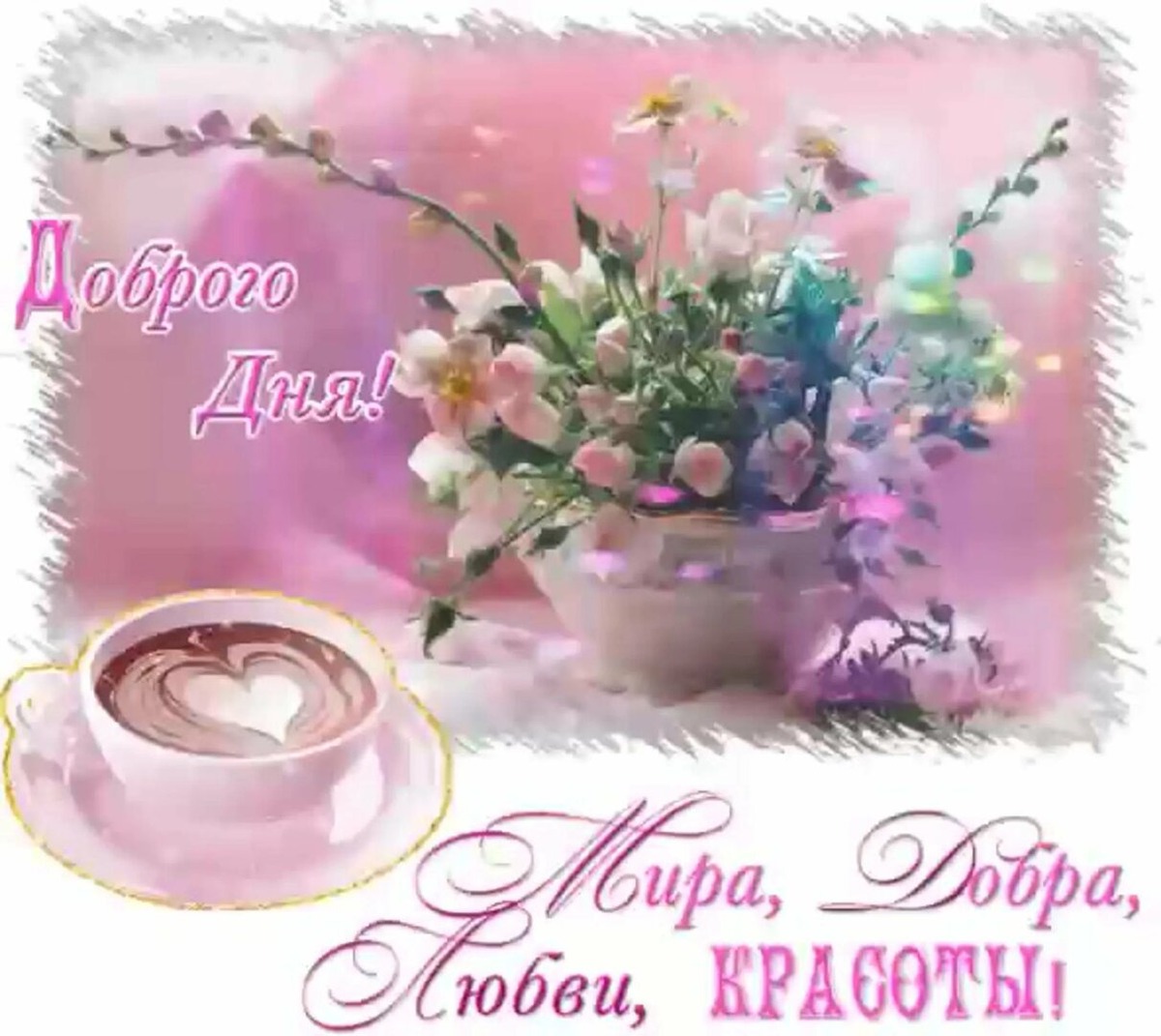 Из интернета для хорошего настроения 💖