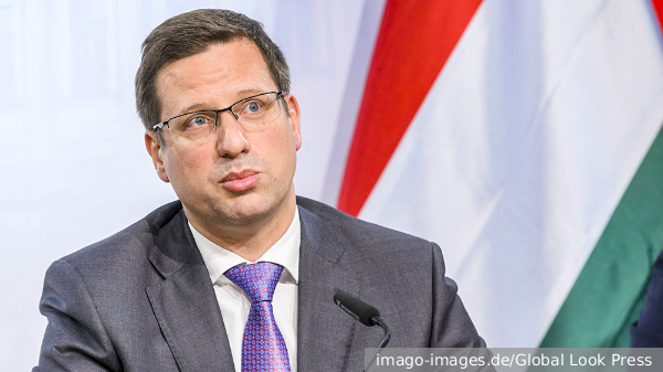     Фото: imago-images.de/Global Look Press   
 Текст: Вера Басилая