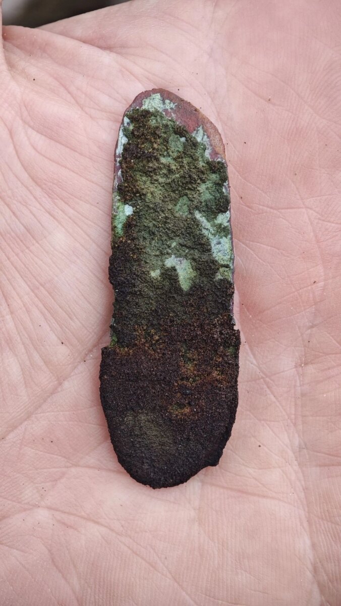    Найденному ножу более 4 тыс. лет. Фото: Пресс-служба ИЯЛИ Коми НЦ УрО РАН, фотограф Виктор Карманов