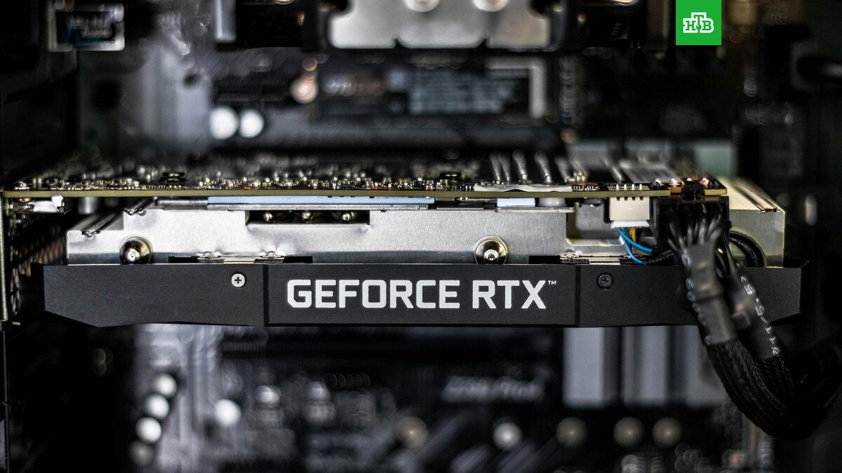    Фото: Christian Wiediger / unsplash.com