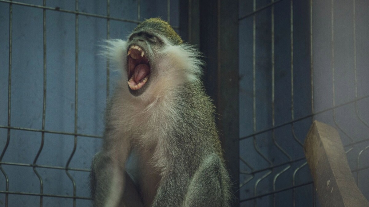     Источник: novostivolgograda.ru