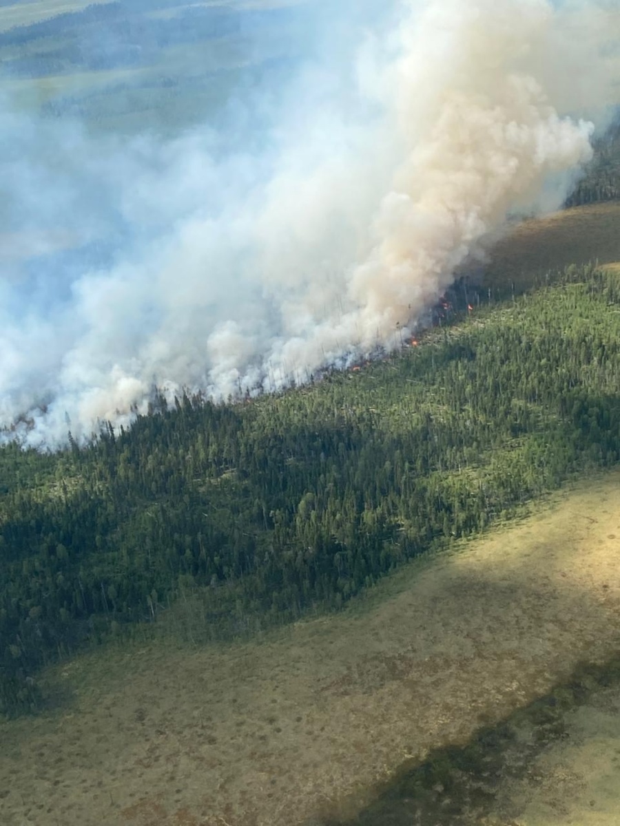    Фото: Национальный парк «Водлозерский»