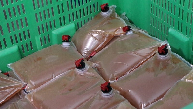    В 2025 году предприятие выпустило 200 тон сока, переработав 350 тонн яблок Фото: Анна Радченко / / ИА «Победа26»