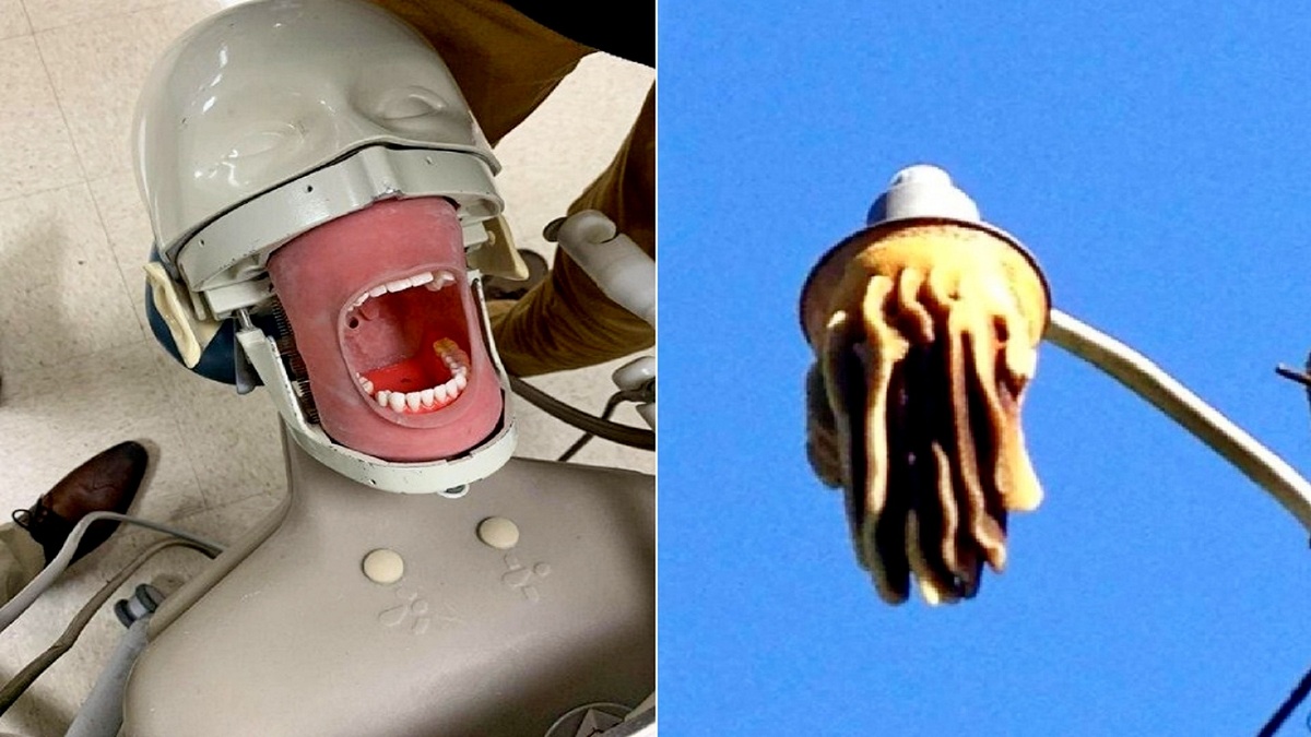 Эти 15 находок покорили интернет, смотрим и удивляемся вместе 