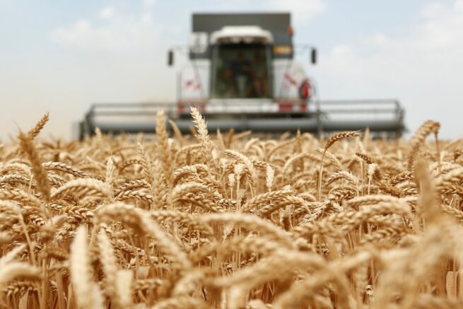    admkrai.krasnodar.ru