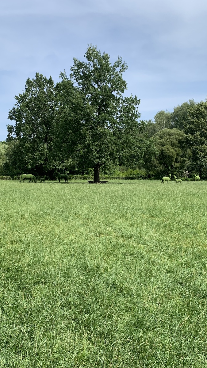 Фото автора канала