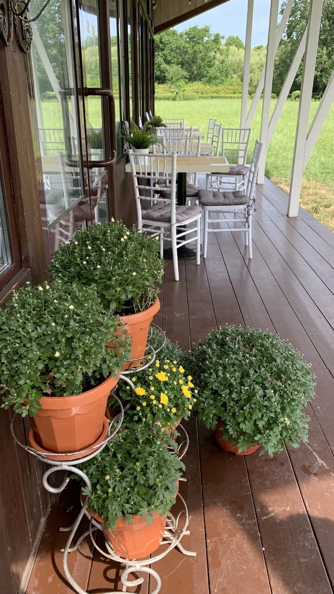 Фото автора канала