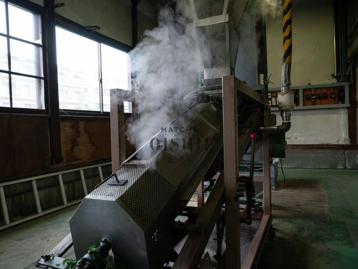 Пропаривание «kill-green» (15-30 с) сразу после сбора останавливает окисление и сохраняет изумрудный оттенок. Листья сушат, затем удаляют стебли и жилки, превращая сырьё в тэнча — чистую «листовую пластинку».