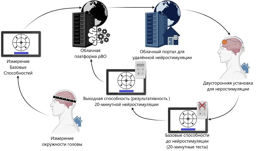 Схема подхода: участникам измеряли окружность головы и базовую способность к концентрации внимания; данные загружались в облачную платформу байесовской оптимизации (pBO), которая генерировала индивидуальные протоколы процедуры для использования на облачном портале для дистанционной нейростимуляции.