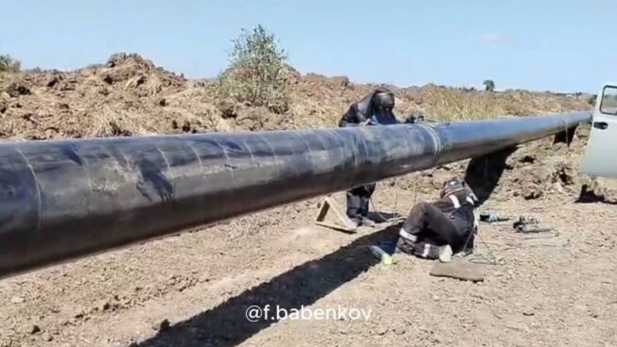    Фото: t.me/FedorBabenkov