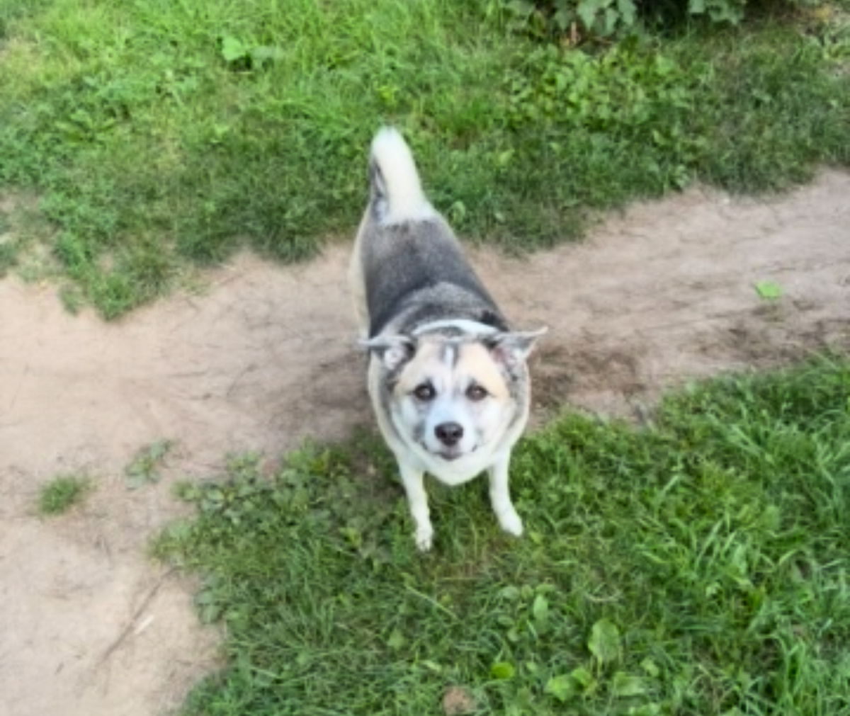 И сегодняшняя встреча...