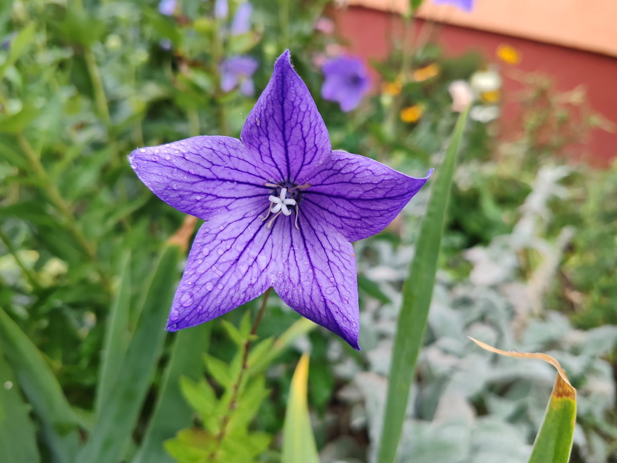 Фото автора канала. 