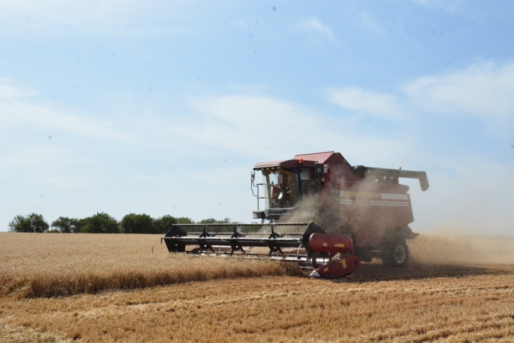   Фото: Е. Антонова. Галина Ященко