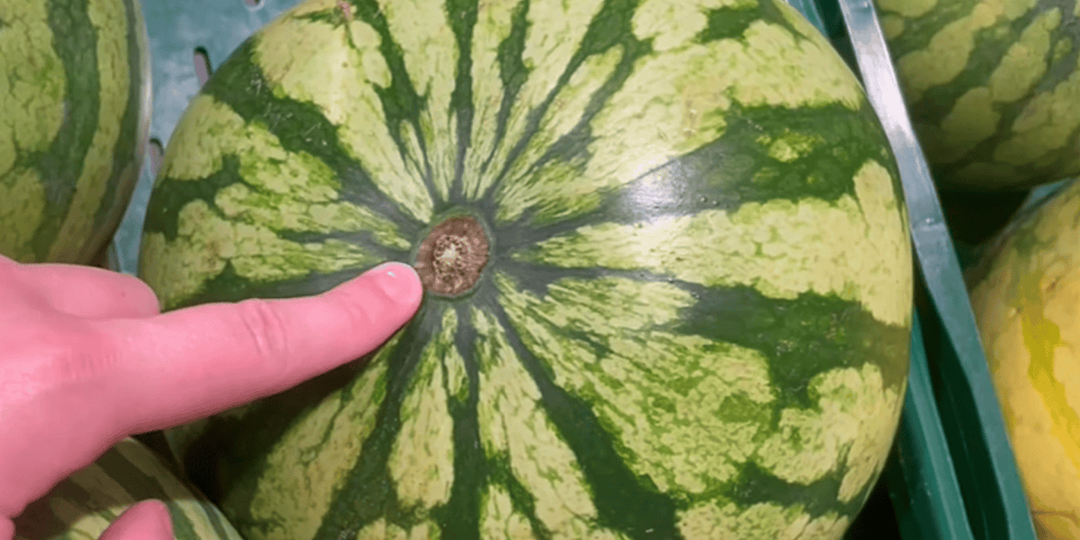 Не покупайте арбуз, если не знаете об этом