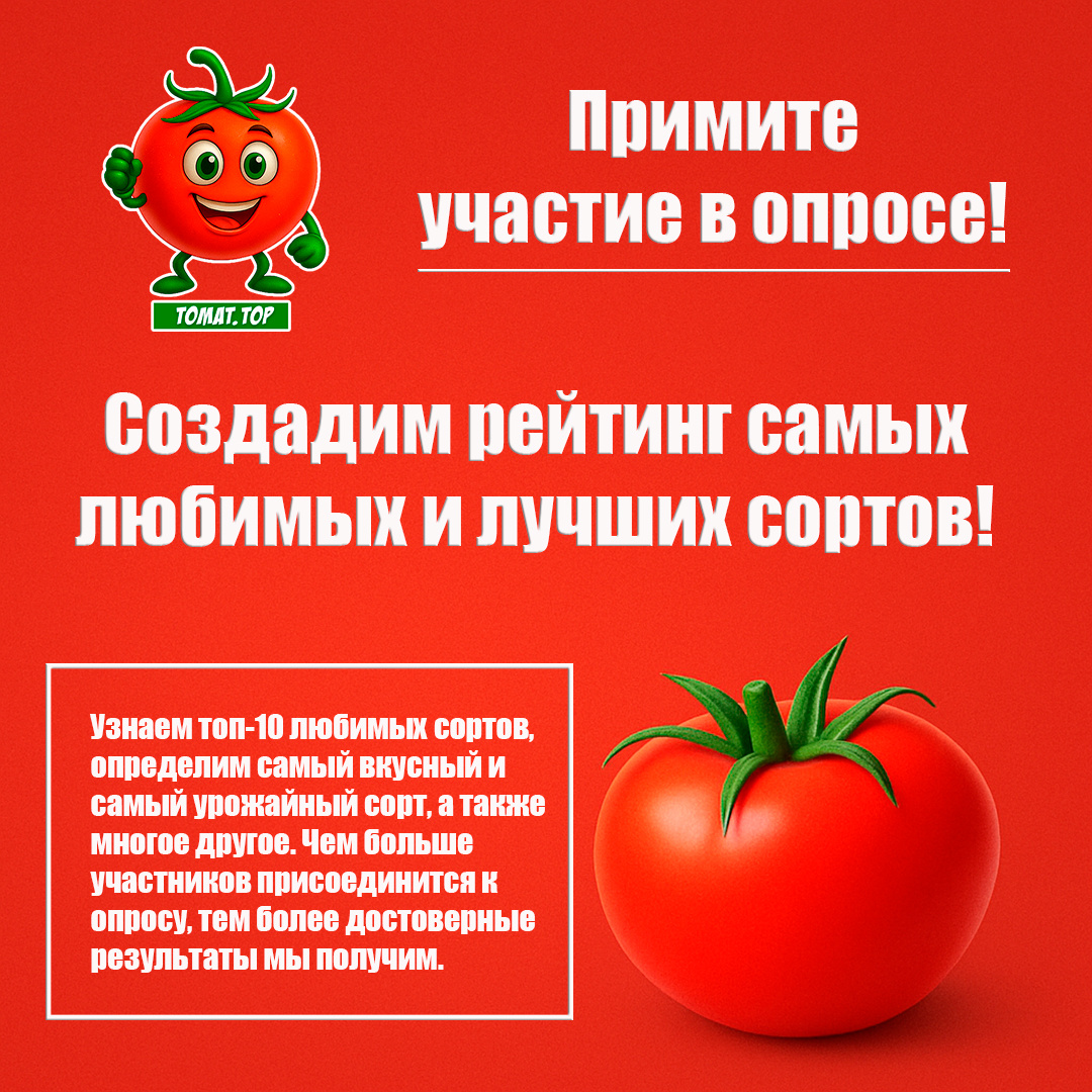 Давайте вместе составим рейтинг лучших сортов томатов!