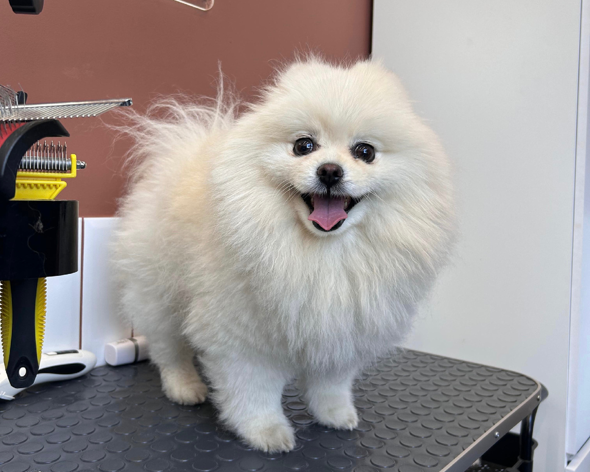 Касси после мытья и сушки 