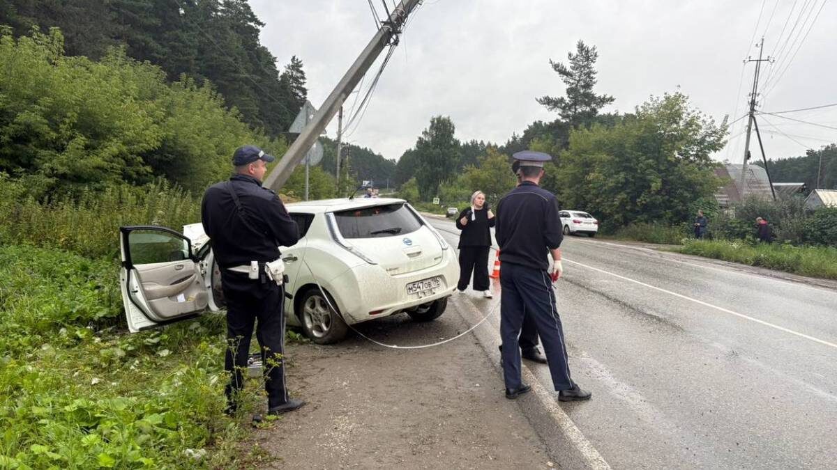    Фото: Пресс-служба ГИБДД Свердловской области