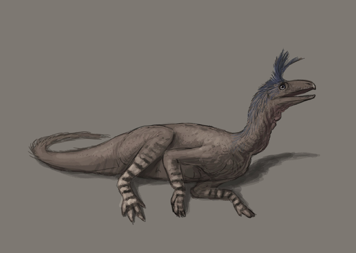 Эоцелофизис от Джошуа Кнуппе.