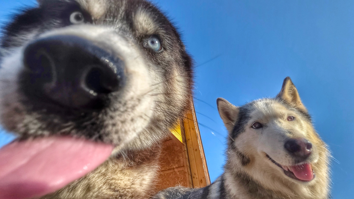 Кто из них Нирвана, угадайте!