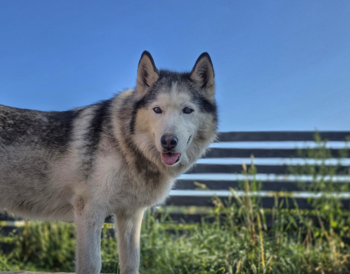 Это Даша, ей 16,5 лет