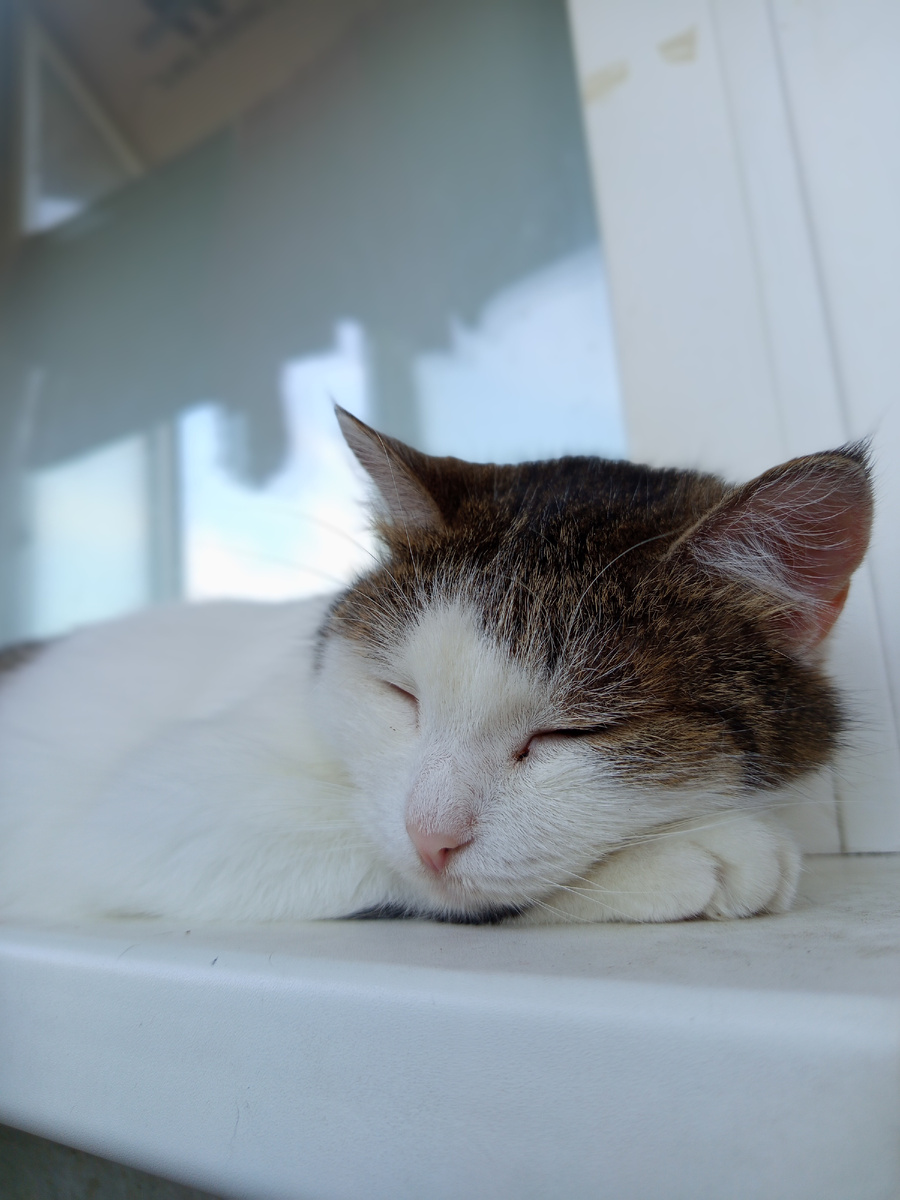 Фото автора. 