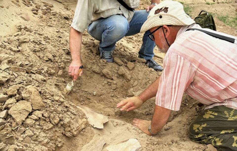    Фото: сектор археологии музея-заповедника «Старая Сарепта»