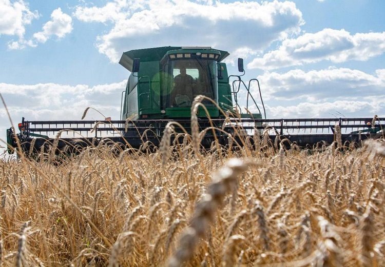    Фото: Правительство Омской области