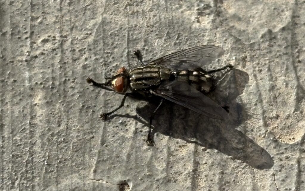    Фото: Ольга Гилева Ульяна Бажанова