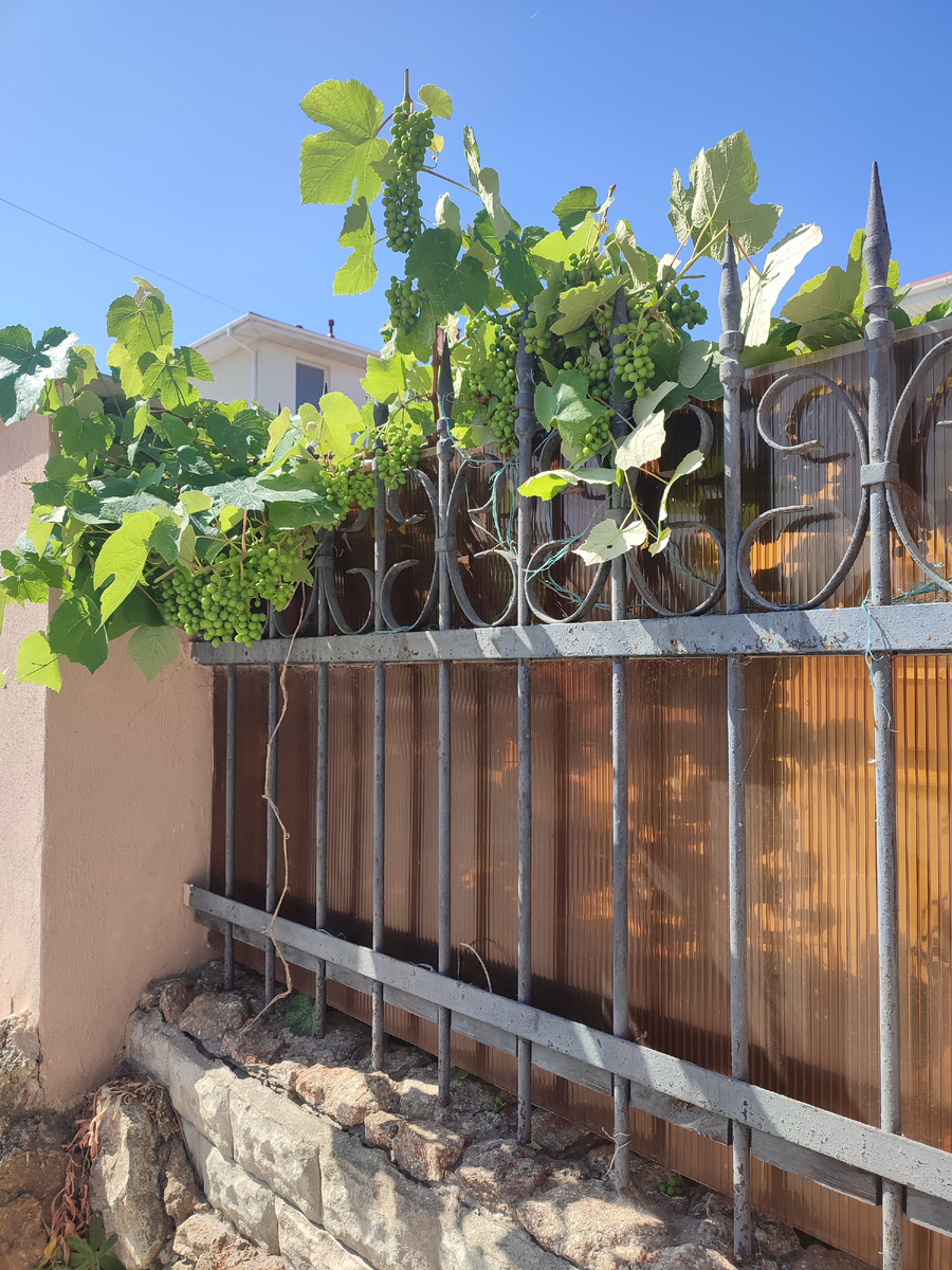                                                            поселок Поповка листай вправо →→→