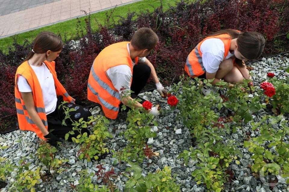    Фото: Дмитрий Рогулин/"Городские вести"