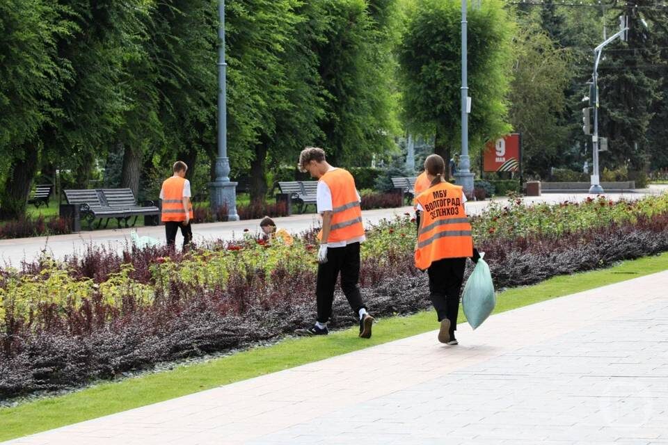    Фото: Дмитрий Рогулин/"Городские вести"