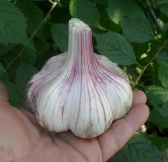 Изображение с моего любимого сайта stroy-podskazka.ru