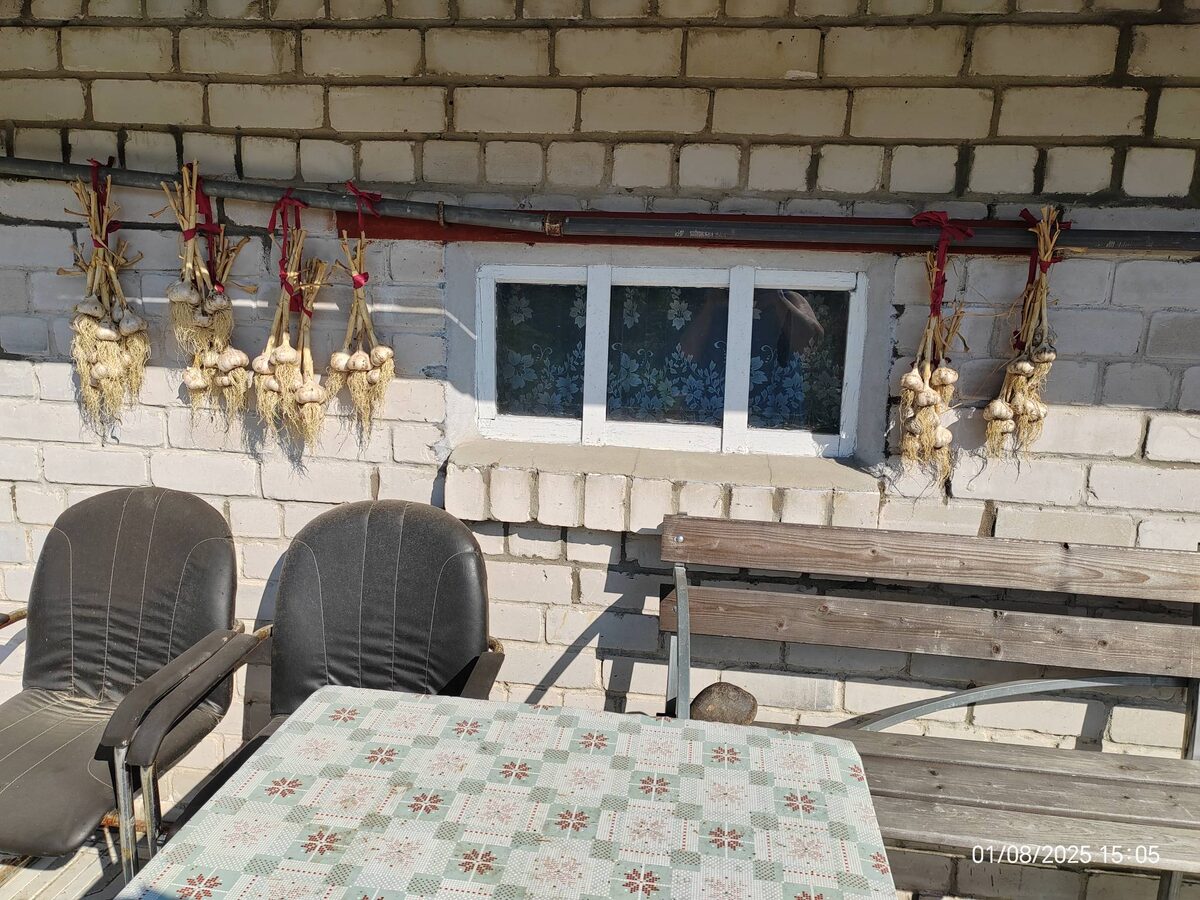 Приспособилась сушить чеснок на трубе у бани )))