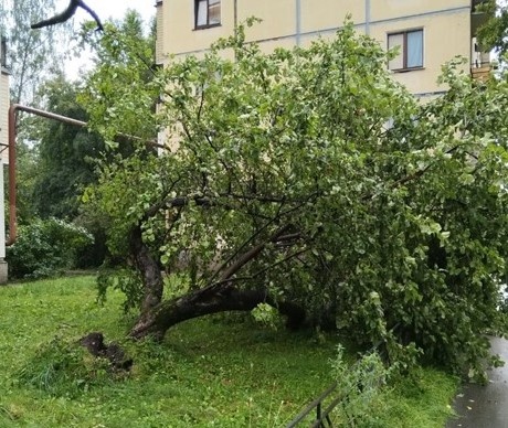    Автор фото: "ДП"