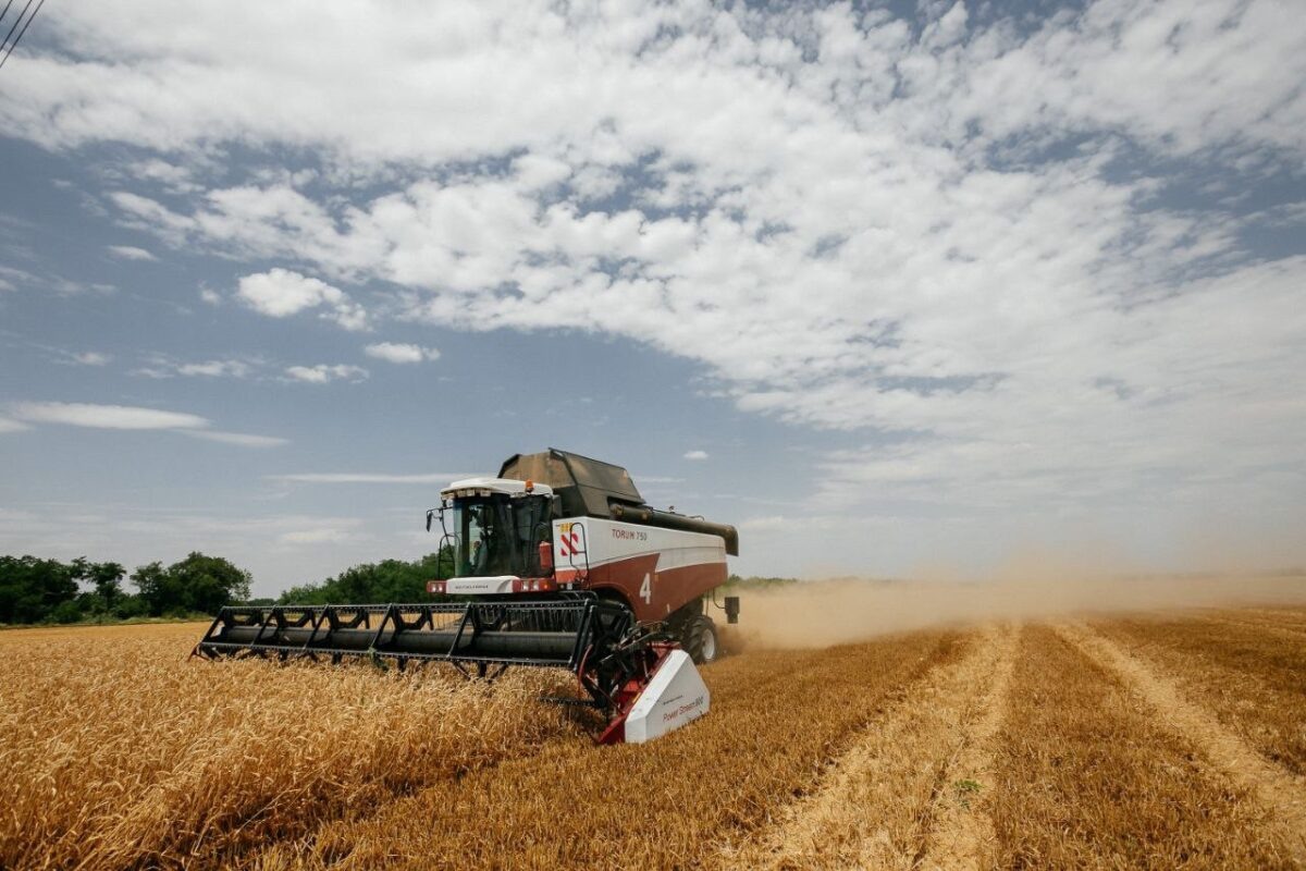    уборка урожая в Ростовской области // фото: пресс-служба Сбербанка