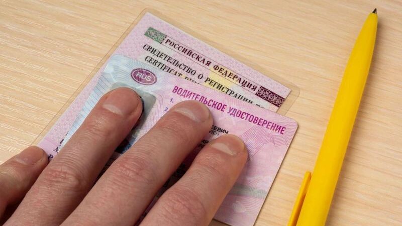    Фото: Sergei Gorin/Shutterstock/Fotodom