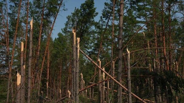    © Photo : Telegram / Гомельщина официально